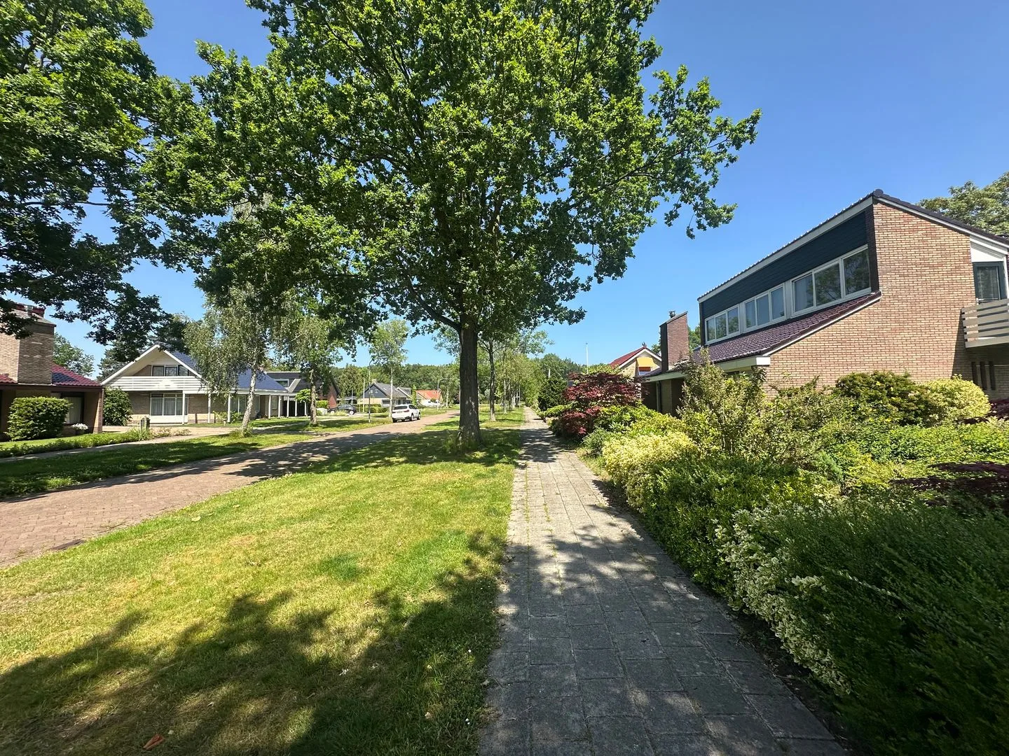Camphuysen 1 Roden thumbnail 51