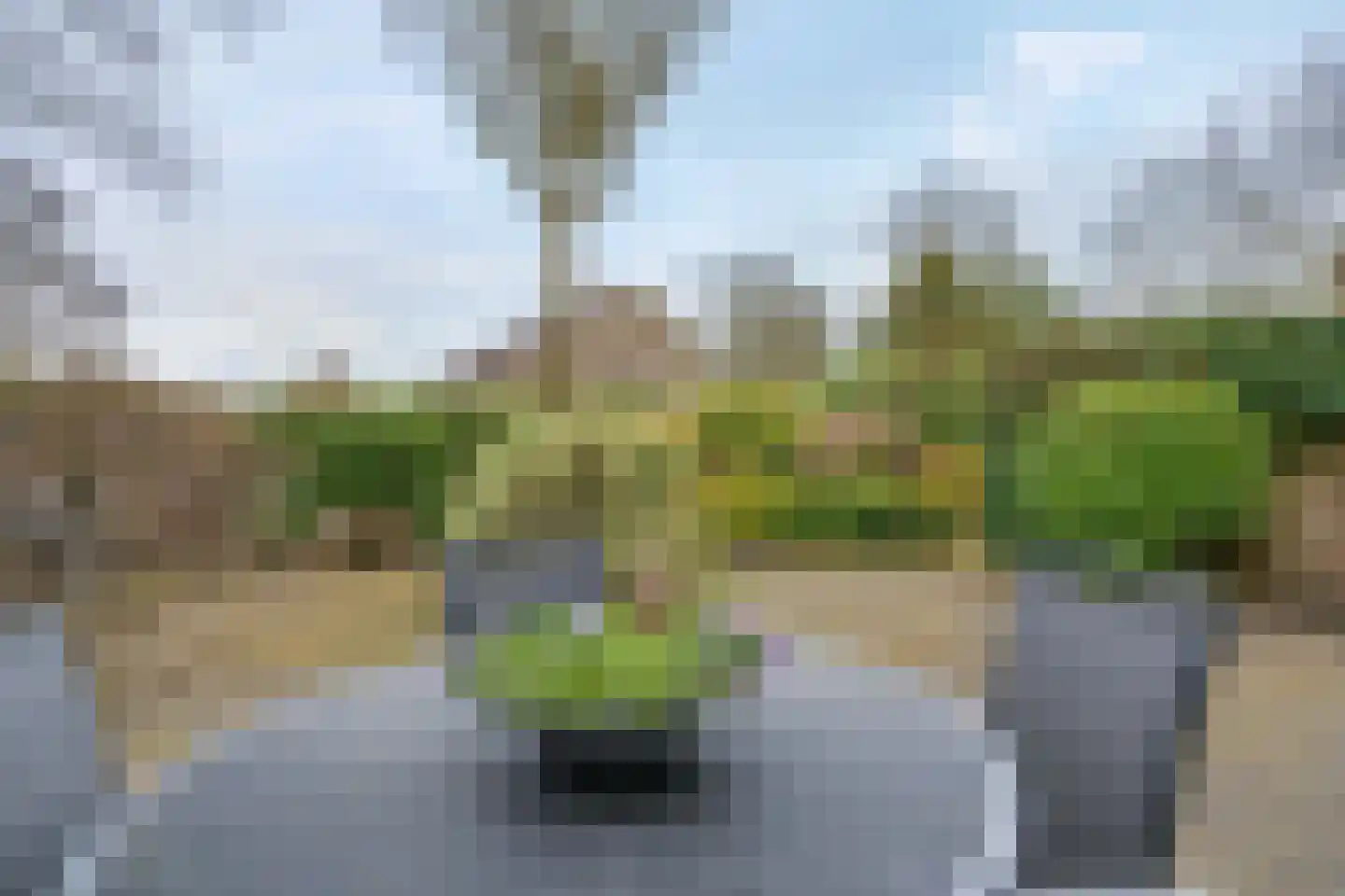 Camphuysen 1 Roden thumbnail 51