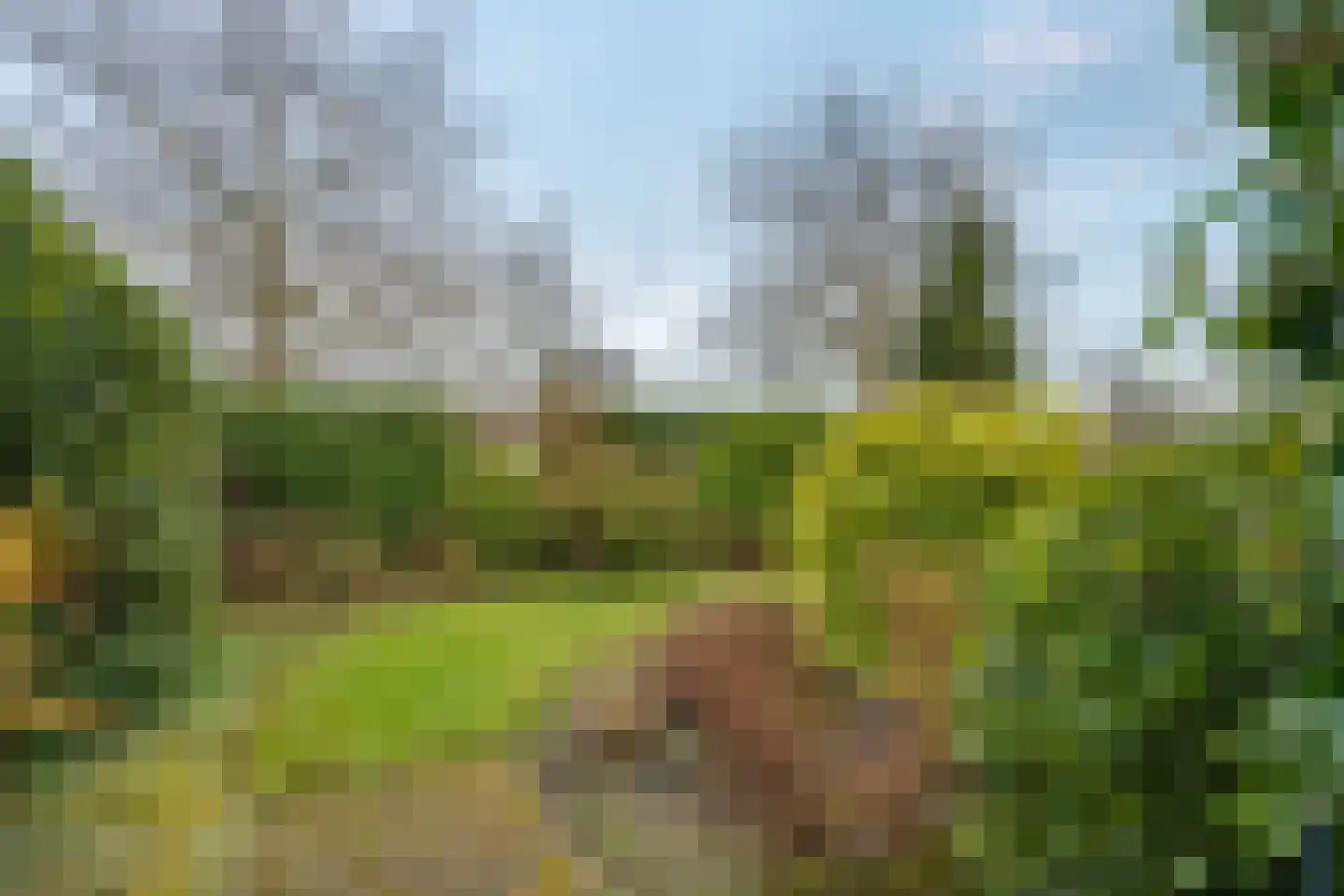 Camphuysen 1 Roden thumbnail 52