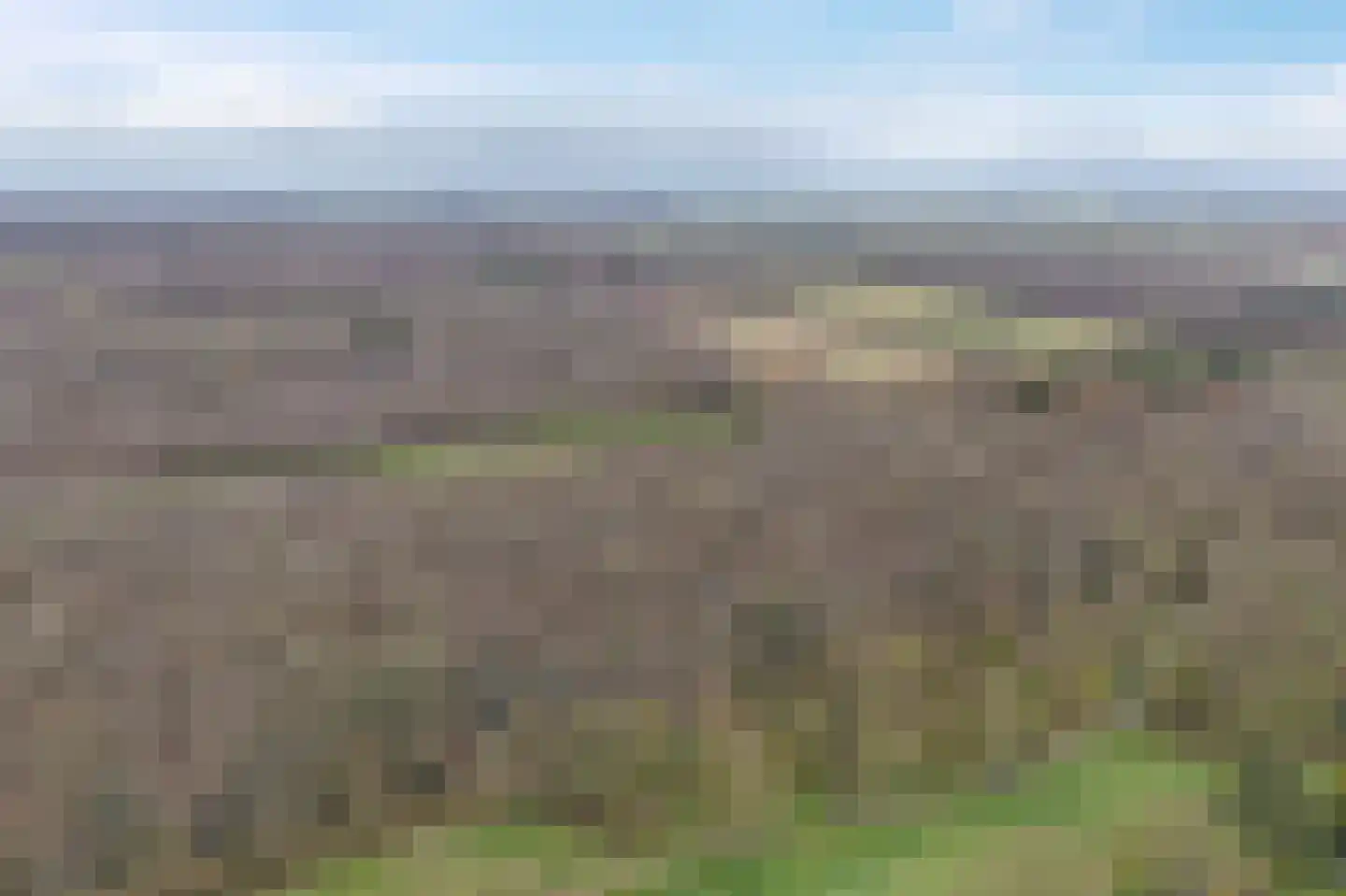 Camphuysen 1 Roden thumbnail 54