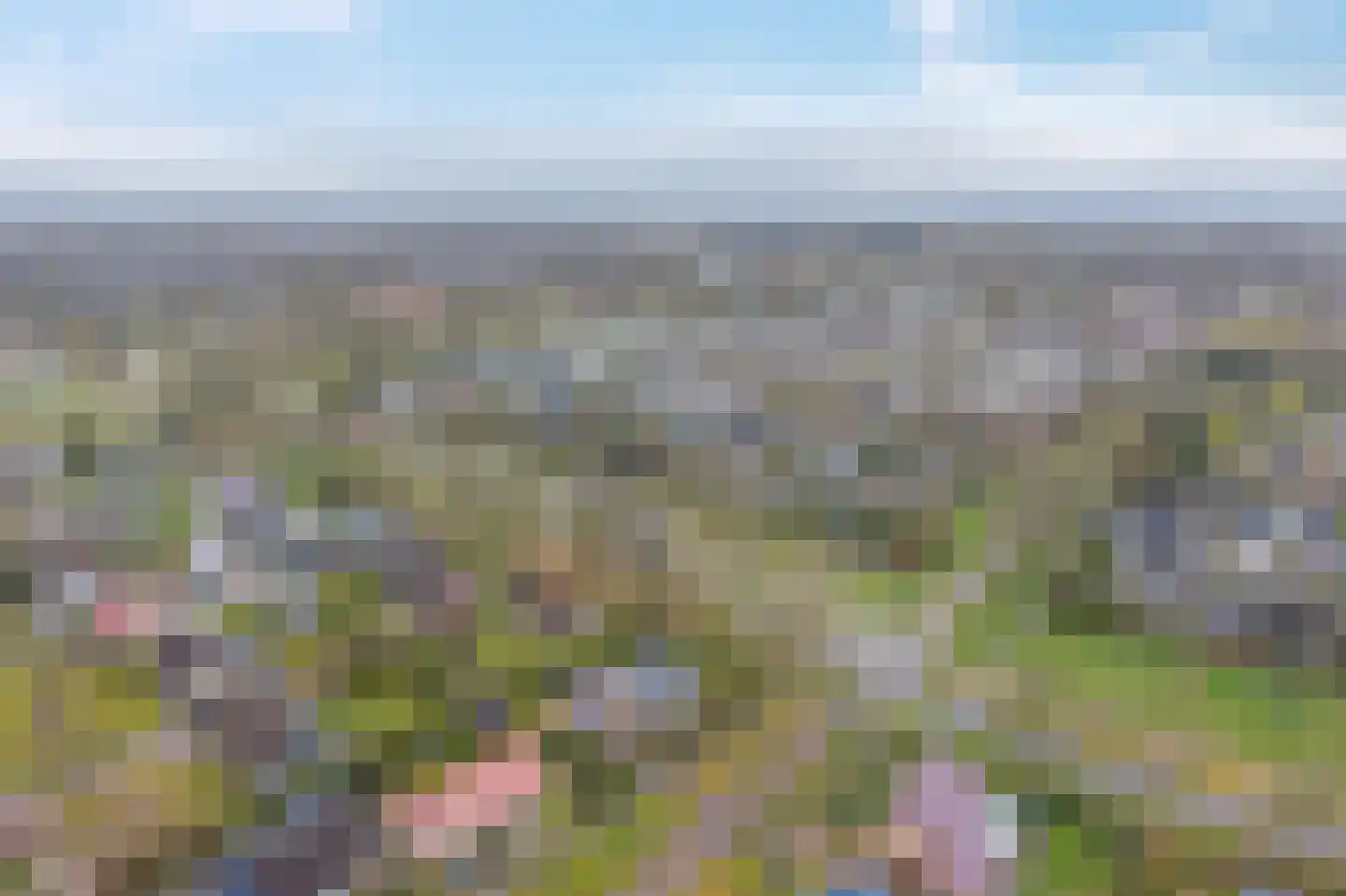 Camphuysen 1 Roden thumbnail 55