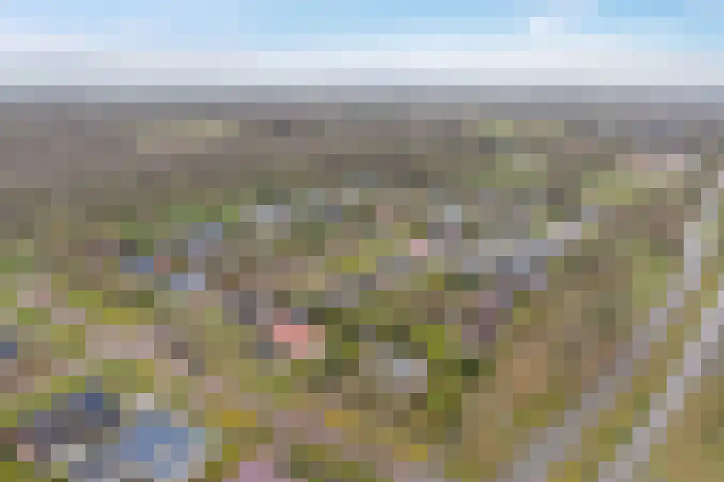 Camphuysen 1 Roden thumbnail 56