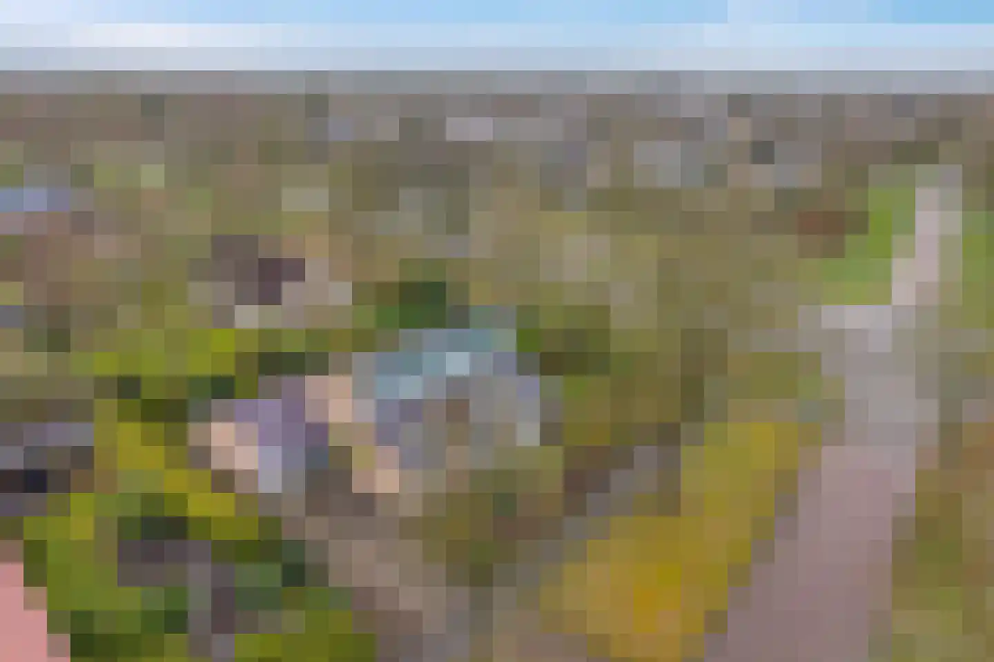 Camphuysen 1 Roden thumbnail 58