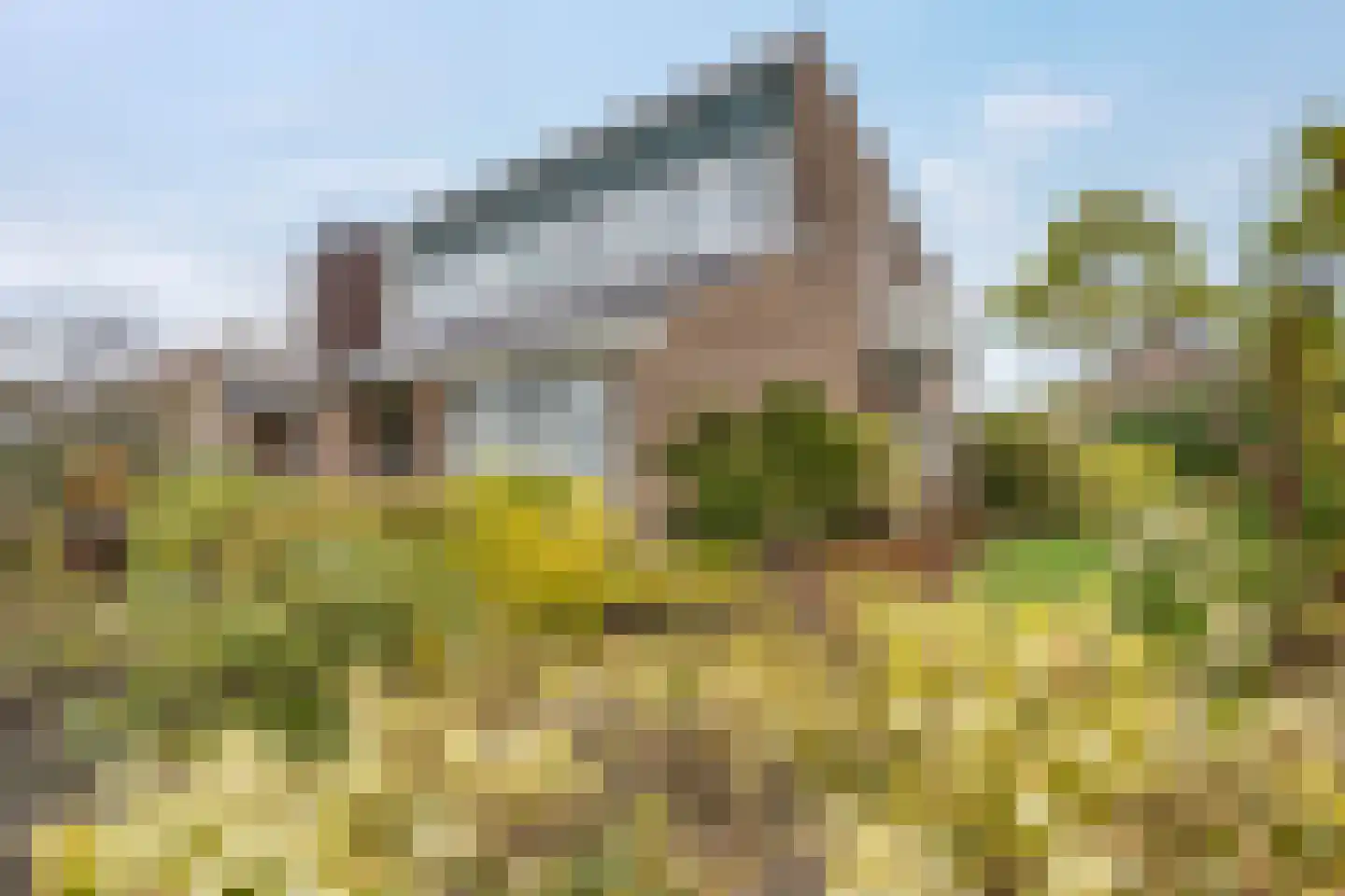 Camphuysen 1 Roden thumbnail 6