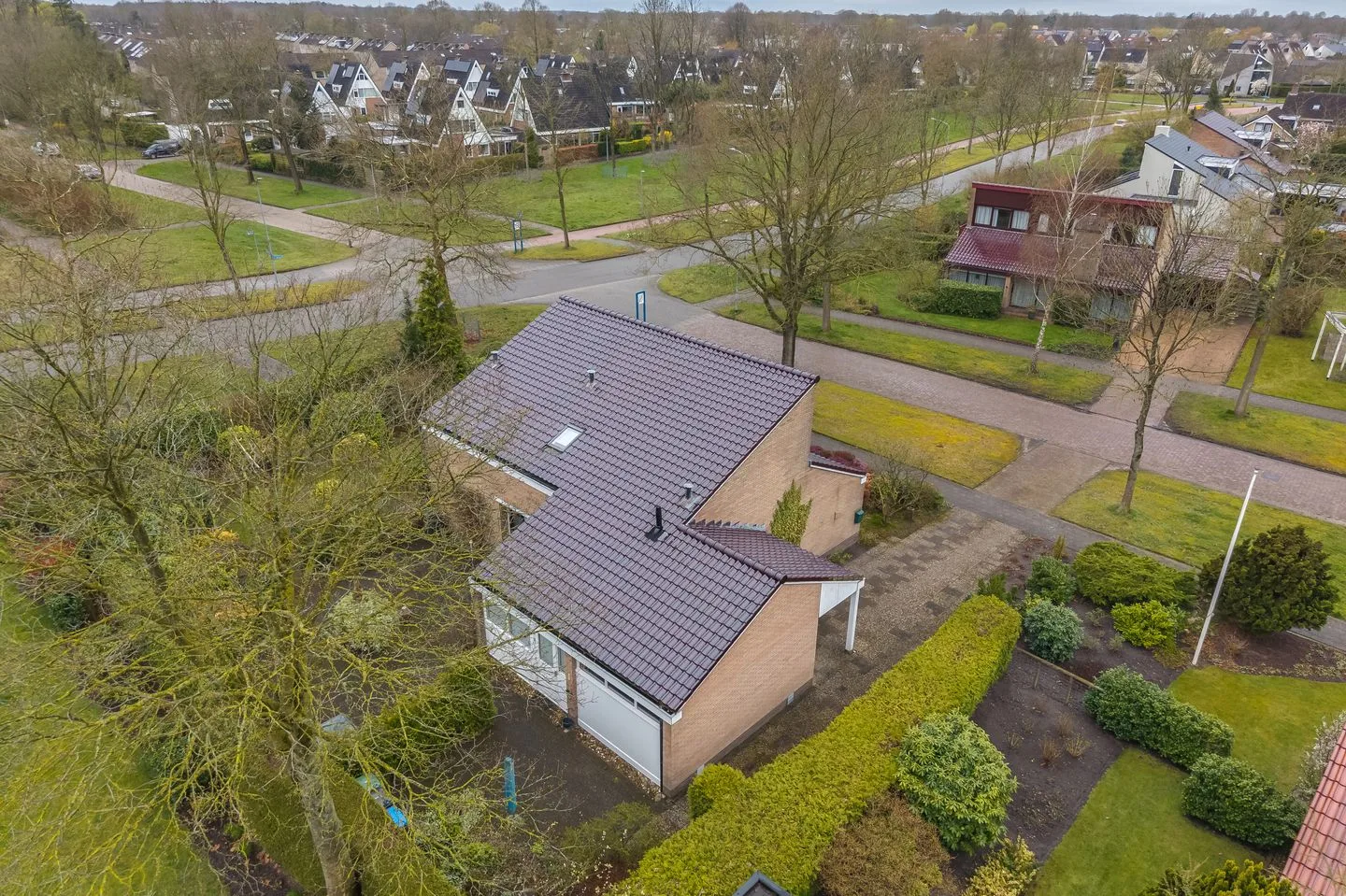 Camphuysen 1 Roden thumbnail 60