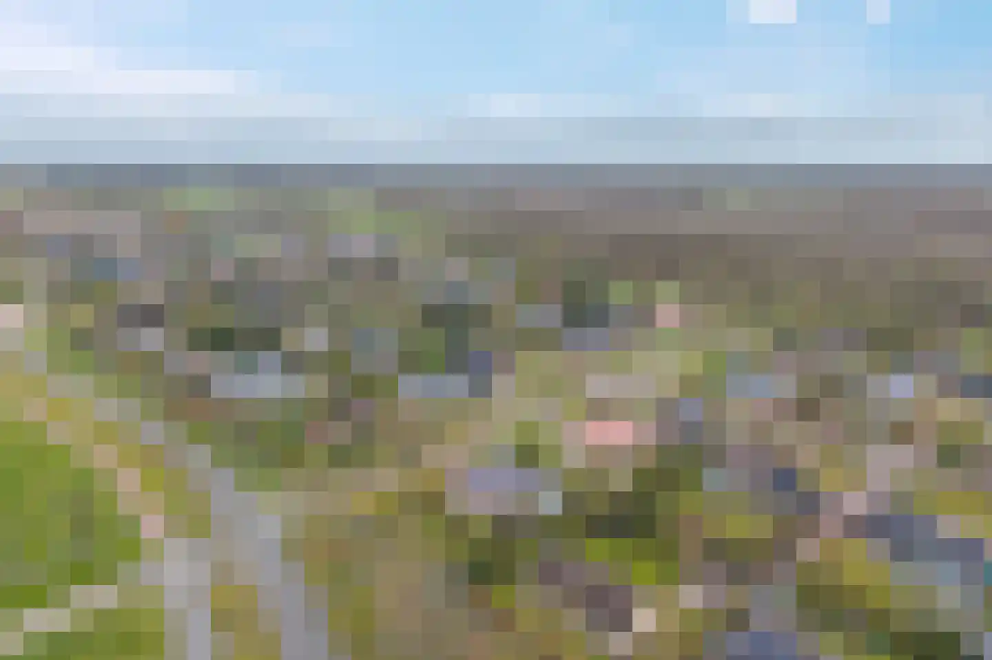 Camphuysen 1 Roden thumbnail 62