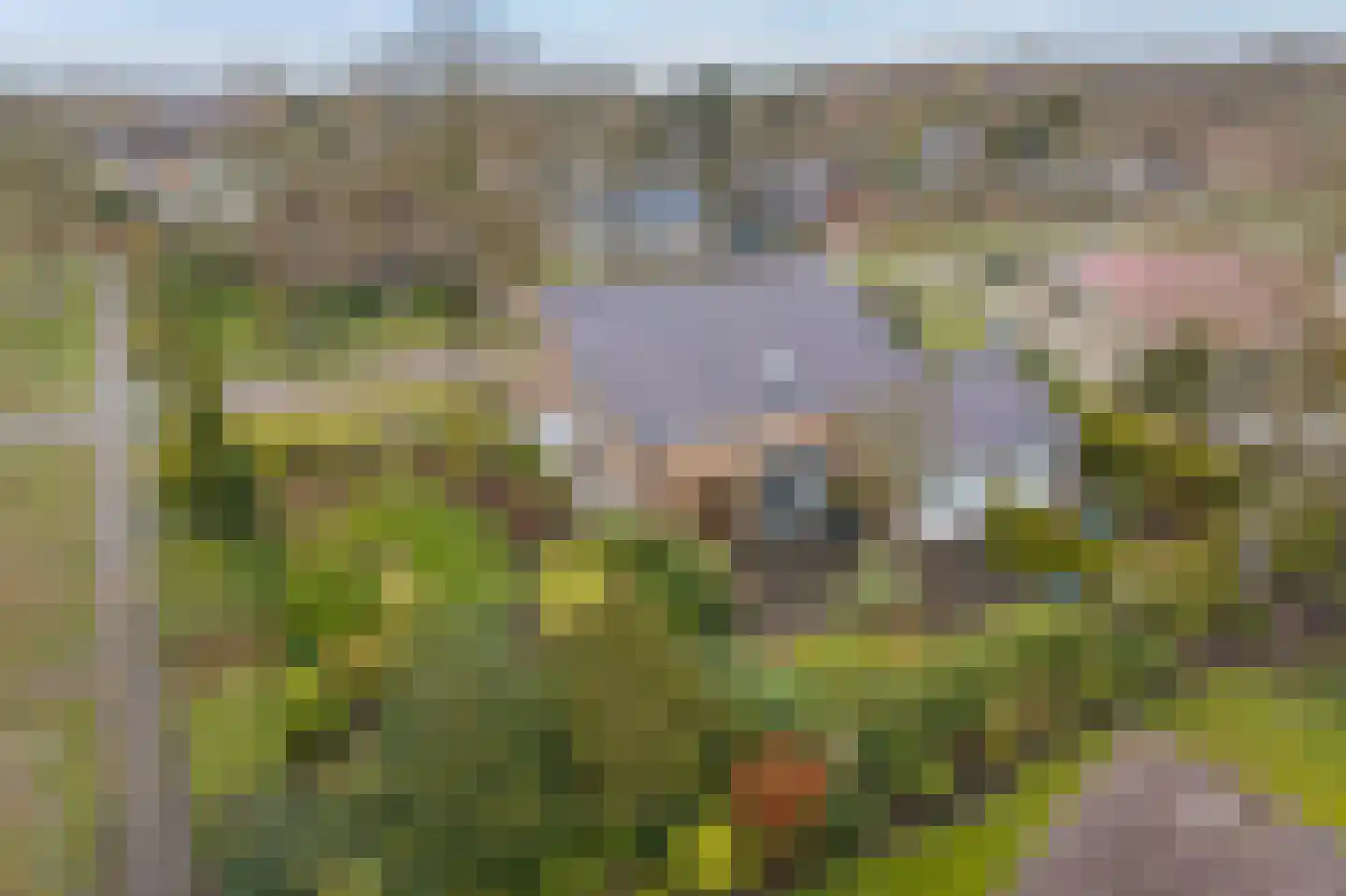 Camphuysen 1 Roden thumbnail 63
