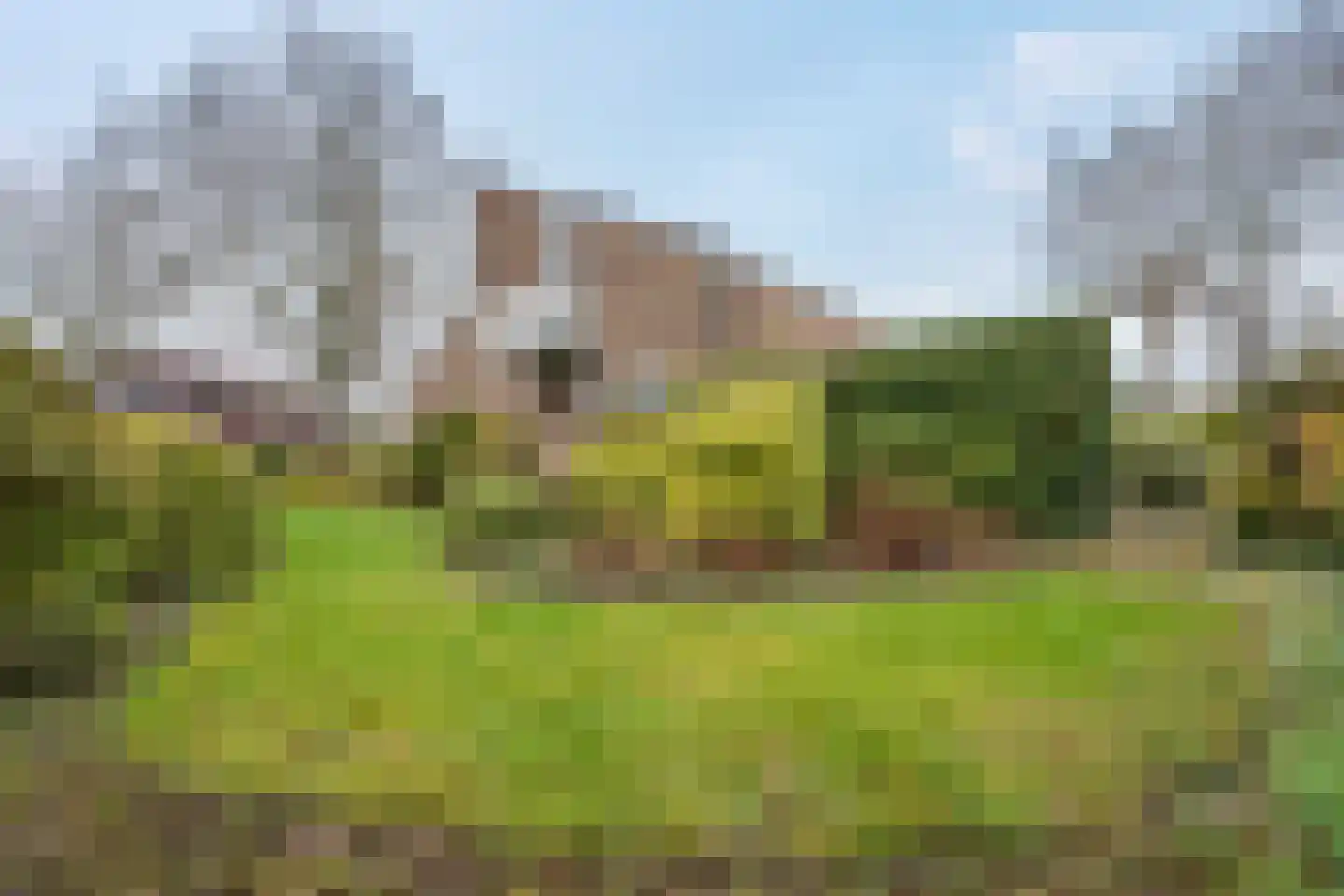Camphuysen 1 Roden thumbnail 7