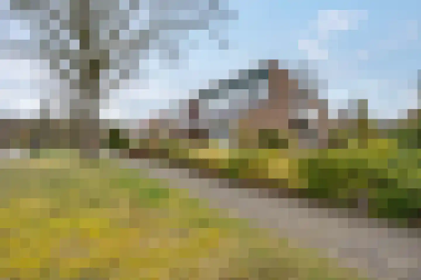 Camphuysen 1 Roden thumbnail 8