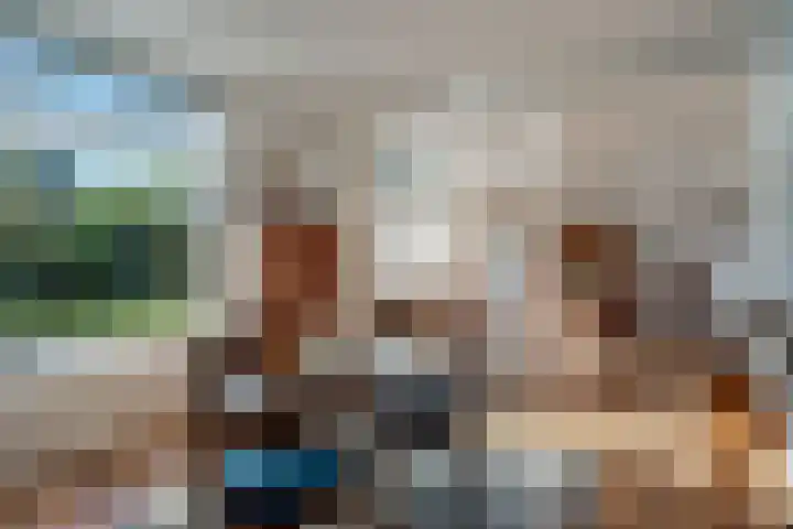 Camphuysen 4 Roden thumbnail 14