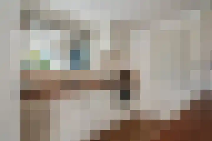 Camphuysen 4 Roden thumbnail 19