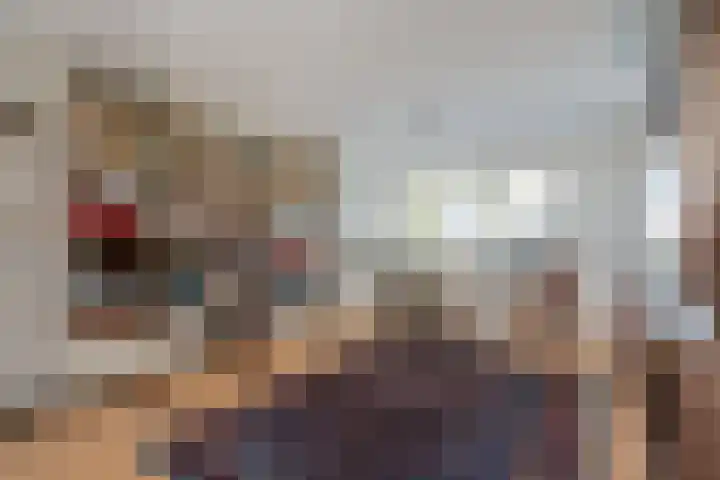 Camphuysen 4 Roden thumbnail 23