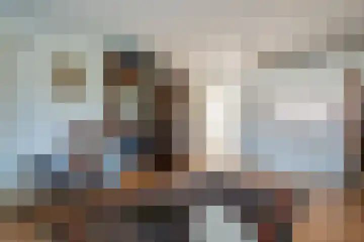 Camphuysen 4 Roden thumbnail 24