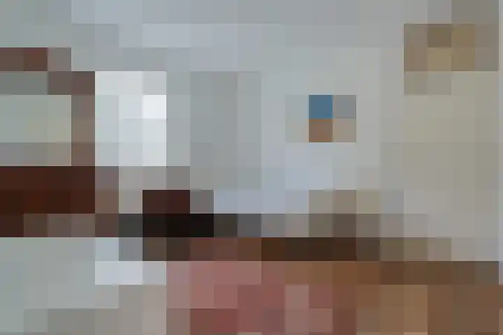 Camphuysen 4 Roden thumbnail 25