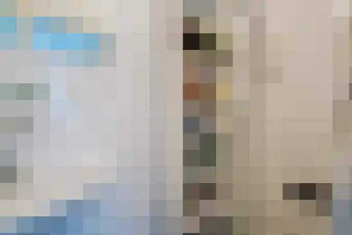 Camphuysen 4 Roden thumbnail 27