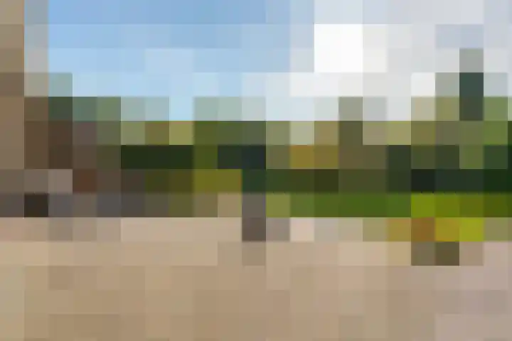 Camphuysen 4 Roden thumbnail 28