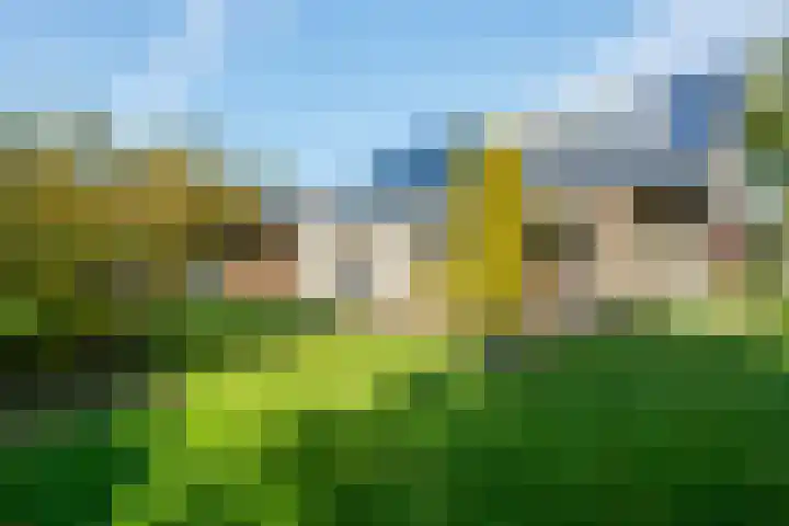 Camphuysen 4 Roden thumbnail 29