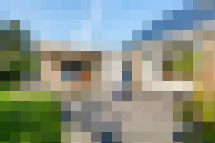 Camphuysen 4 Roden thumbnail 30