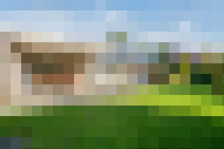 Camphuysen 4 Roden thumbnail 31