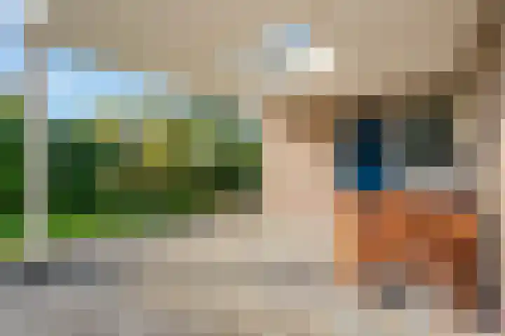 Camphuysen 4 Roden thumbnail 32