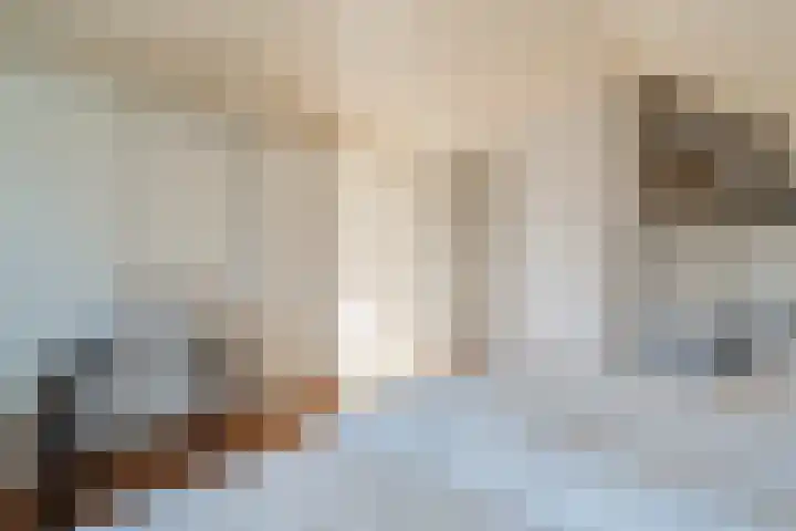 Camphuysen 4 Roden thumbnail 36