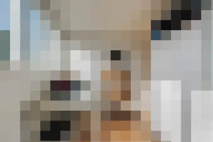 Camphuysen 4 Roden thumbnail 38