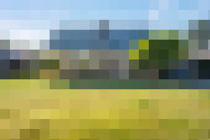 Camphuysen 4 Roden thumbnail 4