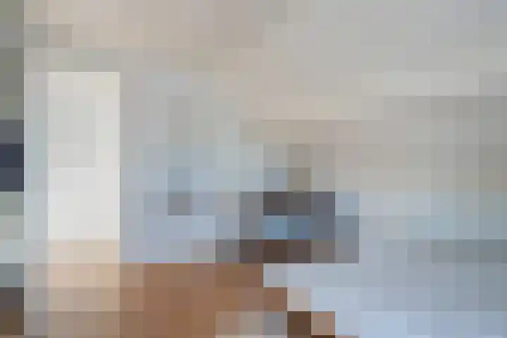 Camphuysen 4 Roden thumbnail 41