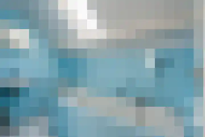 Camphuysen 4 Roden thumbnail 42