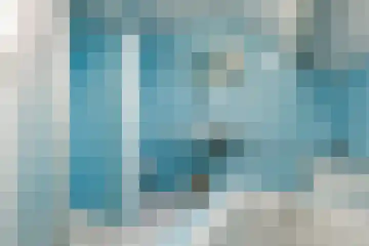 Camphuysen 4 Roden thumbnail 43