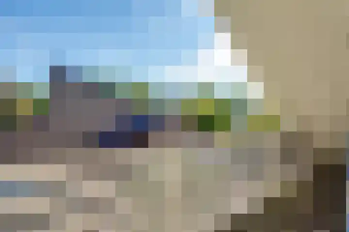 Camphuysen 4 Roden thumbnail 44