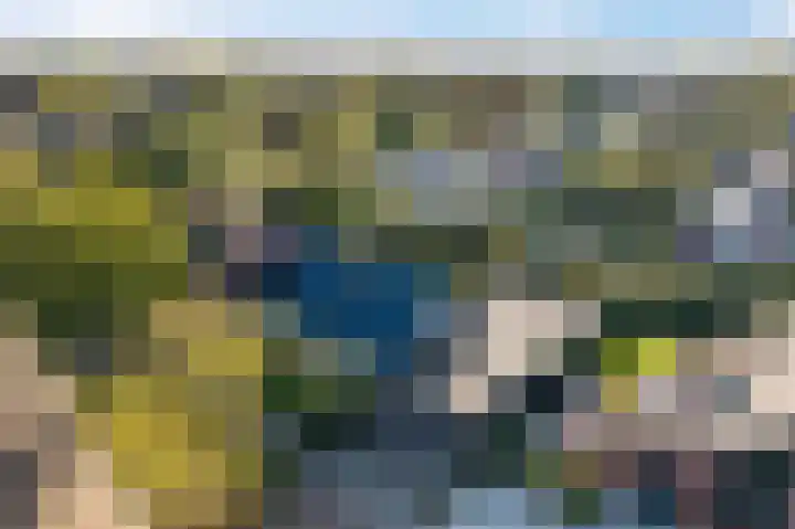 Camphuysen 4 Roden thumbnail 45