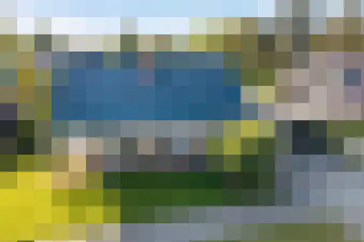 Camphuysen 4 Roden thumbnail 46