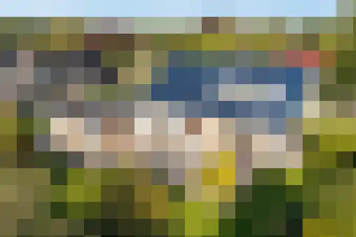 Camphuysen 4 Roden thumbnail 47