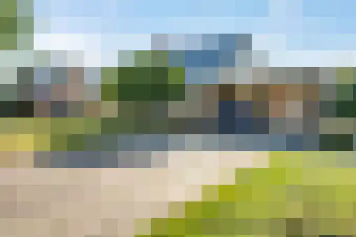 Camphuysen 4 Roden thumbnail 5