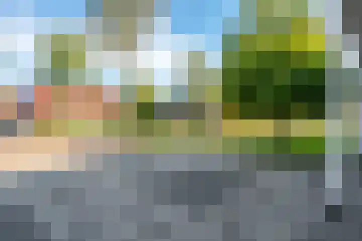 Camphuysen 4 Roden thumbnail 7
