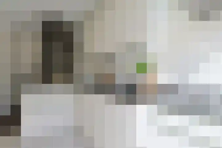 Camphuysendreef 13 Leiderdorp thumbnail 12