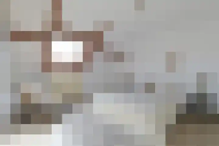 Camphuysendreef 13 Leiderdorp thumbnail 20