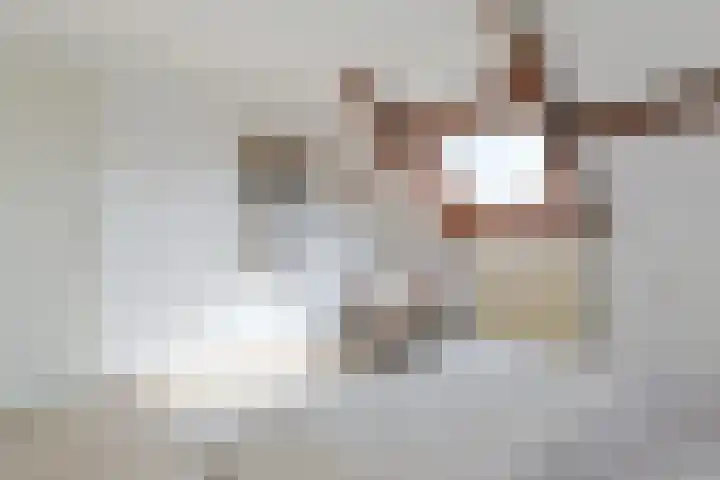 Camphuysendreef 13 Leiderdorp thumbnail 21