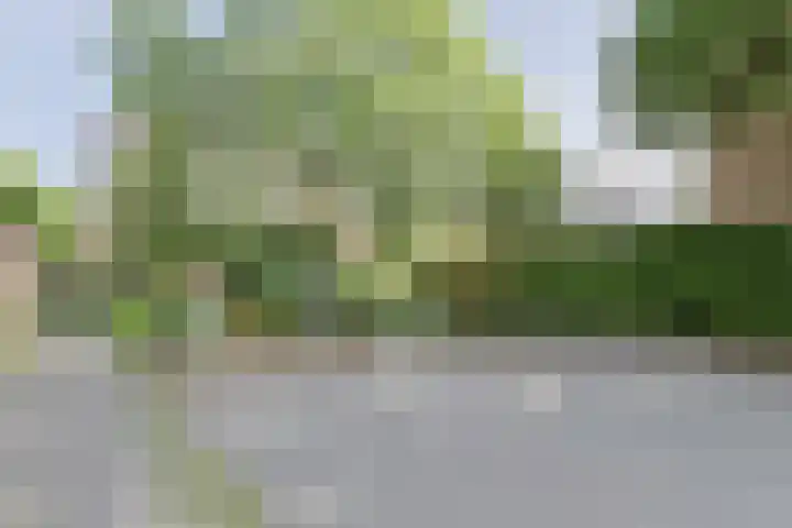 Camphuysendreef 13 Leiderdorp thumbnail 25