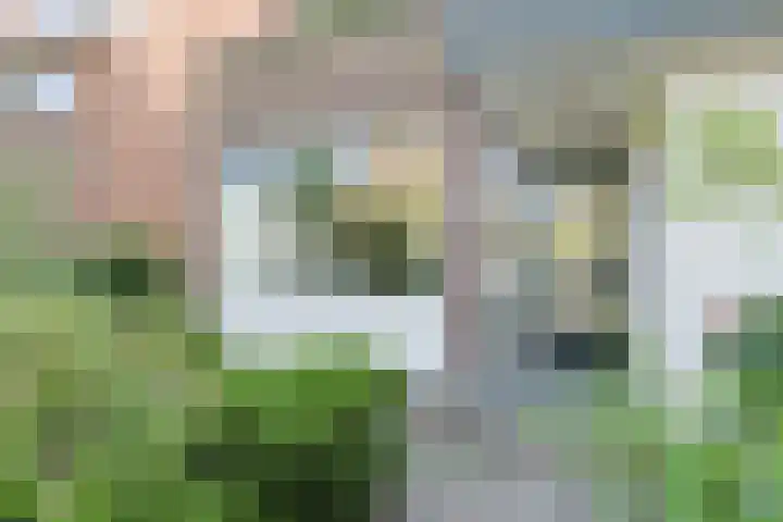 Camphuysendreef 13 Leiderdorp thumbnail 4