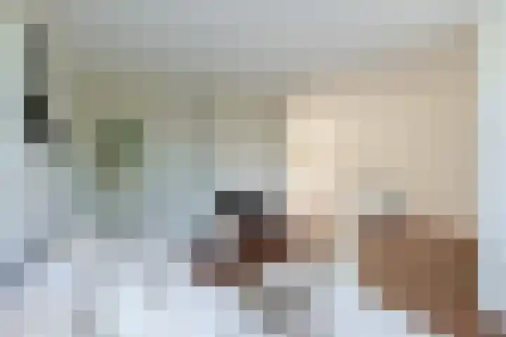 Camphuysendreef 13 Leiderdorp thumbnail 8