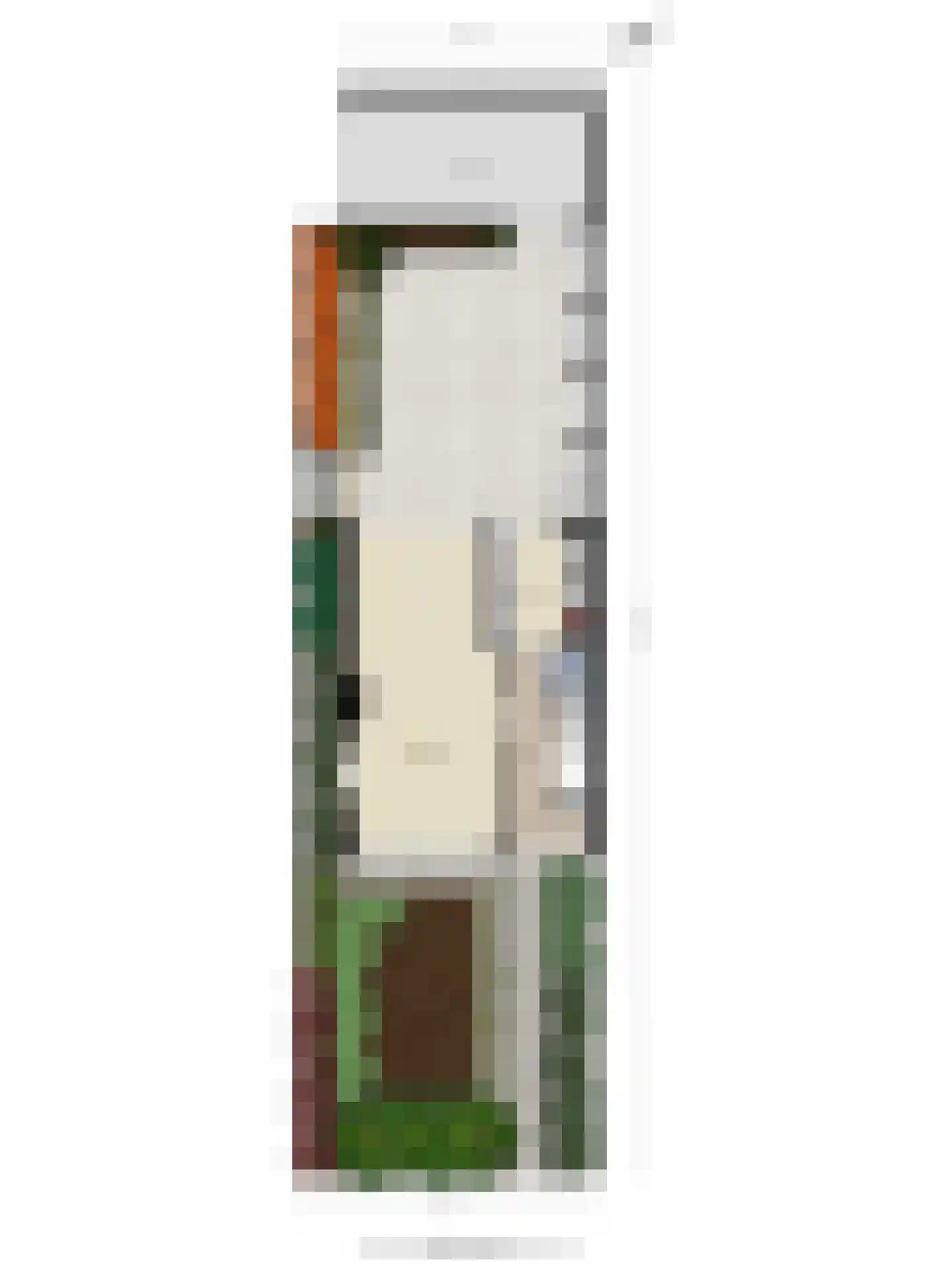Camphuysendreef 18 Leiderdorp thumbnail 44