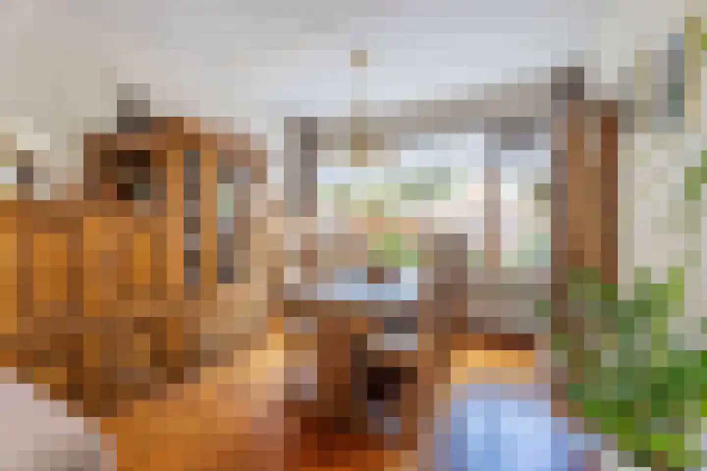 Camphuysendreef 18 Leiderdorp thumbnail 5