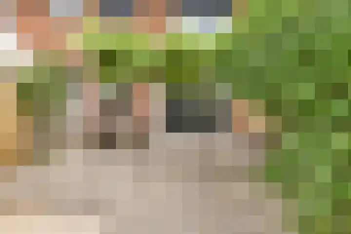 Camphuysendreef 19 Leiderdorp thumbnail 13