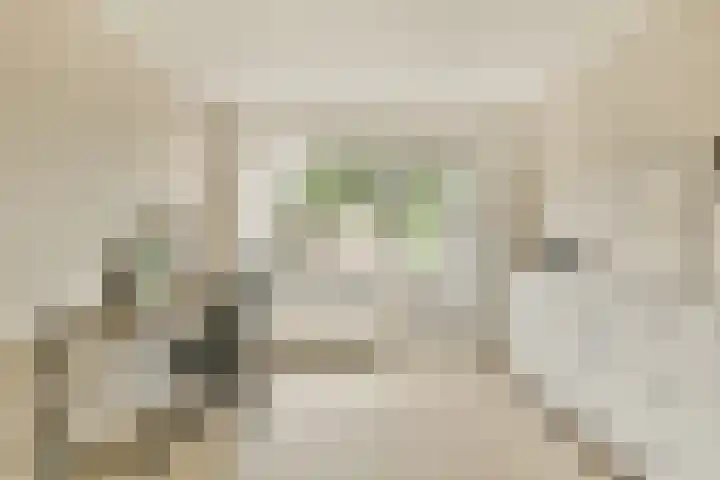 Camphuysendreef 19 Leiderdorp thumbnail 22