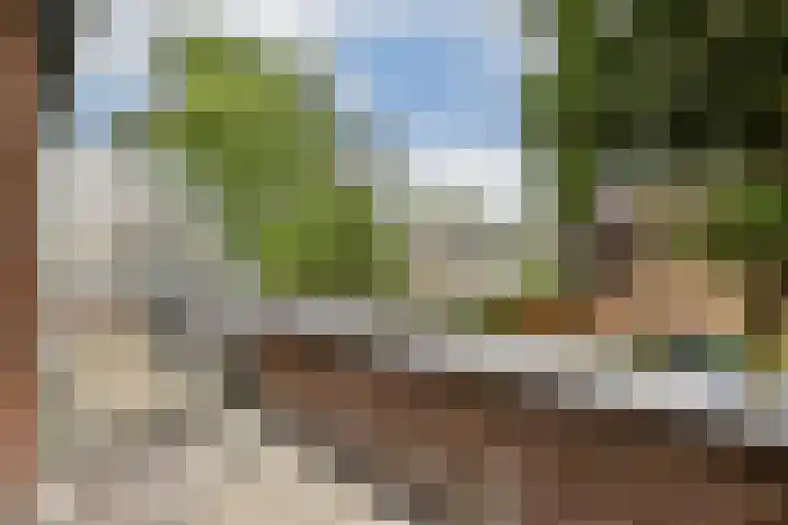 Camphuysendreef 19 Leiderdorp thumbnail 23