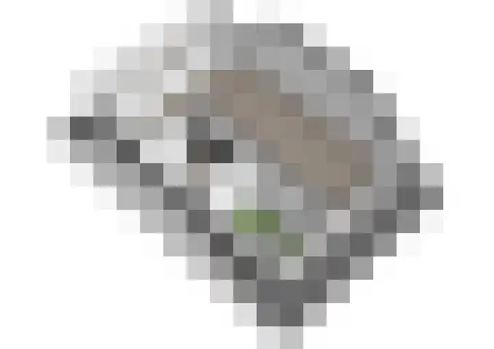 Camphuysendreef 19 Leiderdorp thumbnail 40