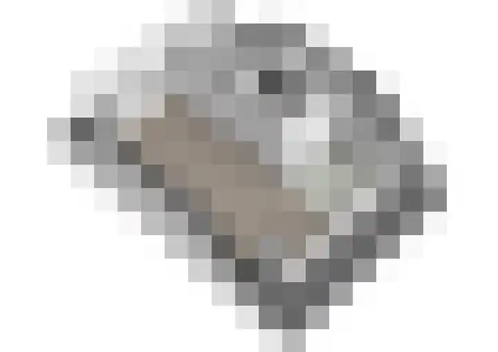 Camphuysendreef 19 Leiderdorp thumbnail 41