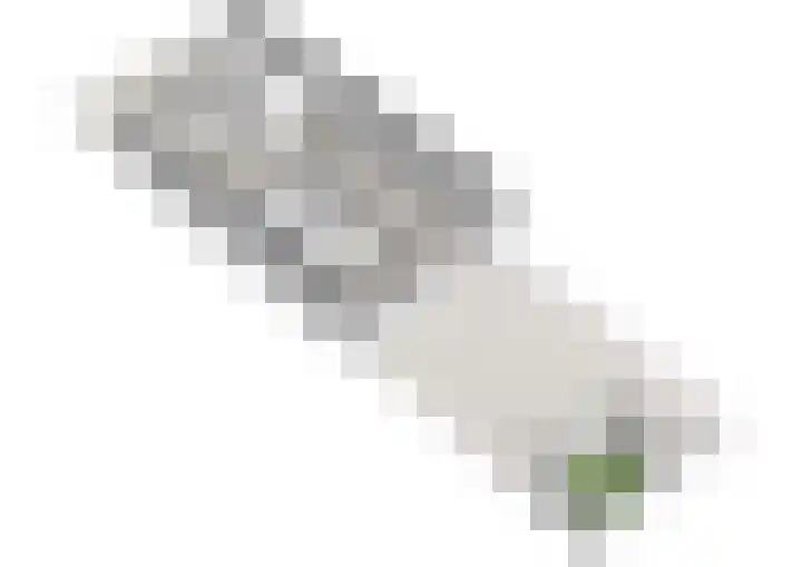 Camphuysendreef 19 Leiderdorp thumbnail 45